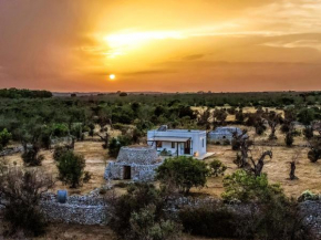 Гостиница Casa Barzò - surrounded by olive trees  Сальве